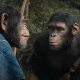 “Kingdom of the Planet of the Apes” fue la reina de la taquilla en su fin de semana de estreno