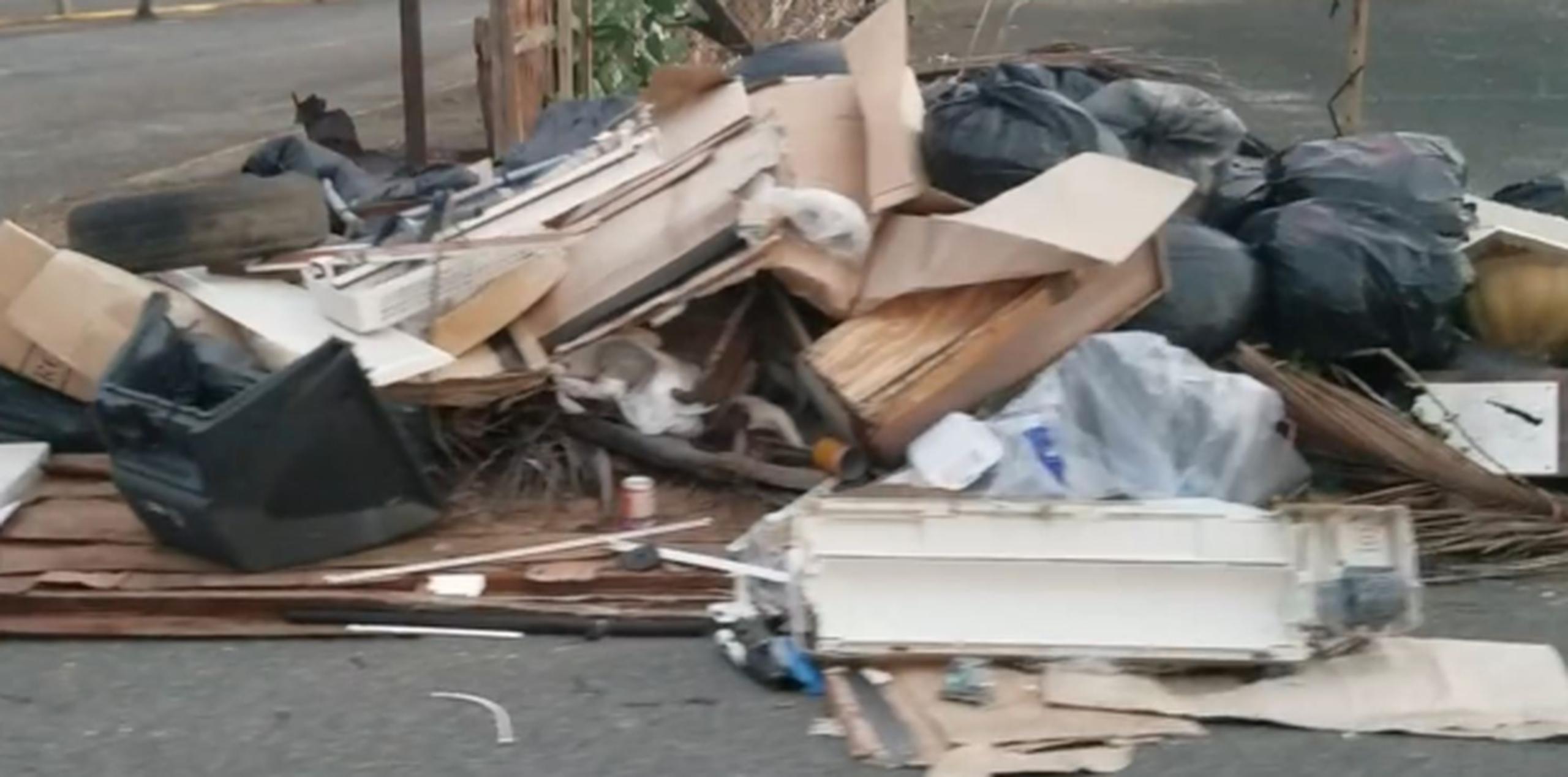 El video que colocó Piñeiro sobre la problemática de la basura ha sido visto unas 63,000 veces. (Archivo)