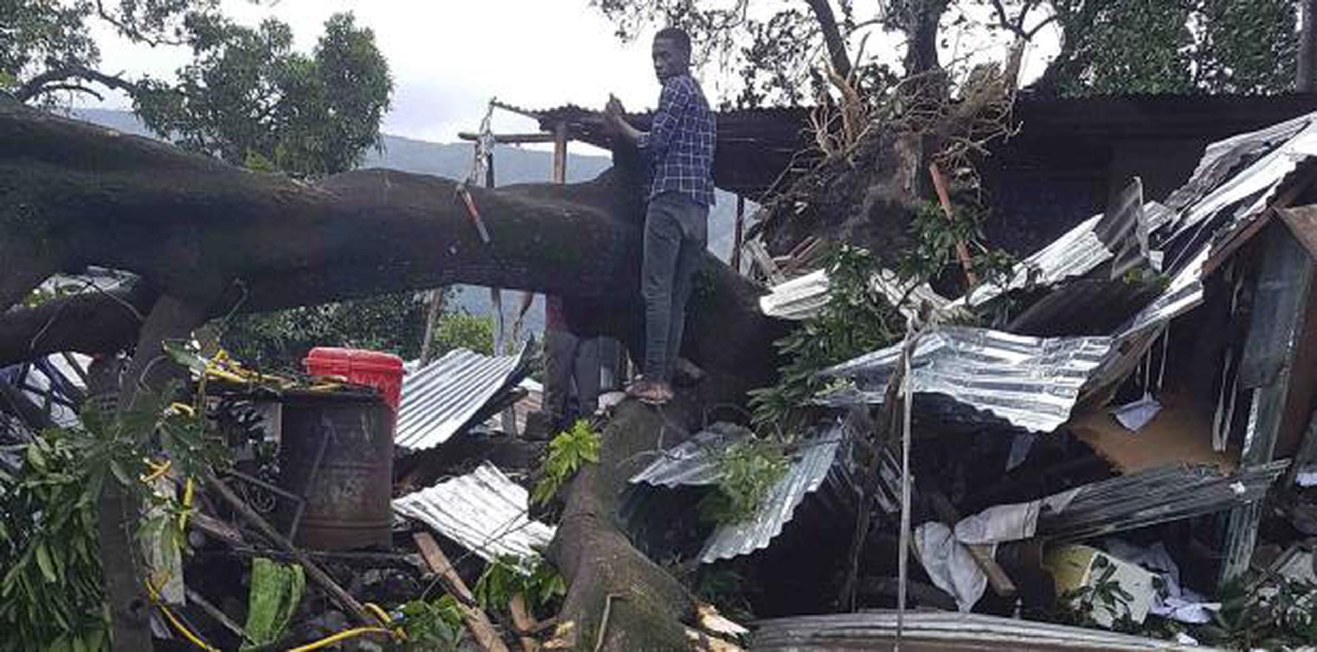En la ciudad de Pemba, una mujer murió por la caída de un árbol y un “elevado número” de viviendas en el distrito de Macomia, en la provincia de Cabo Delgado, quedaron destruidas. (AP)
