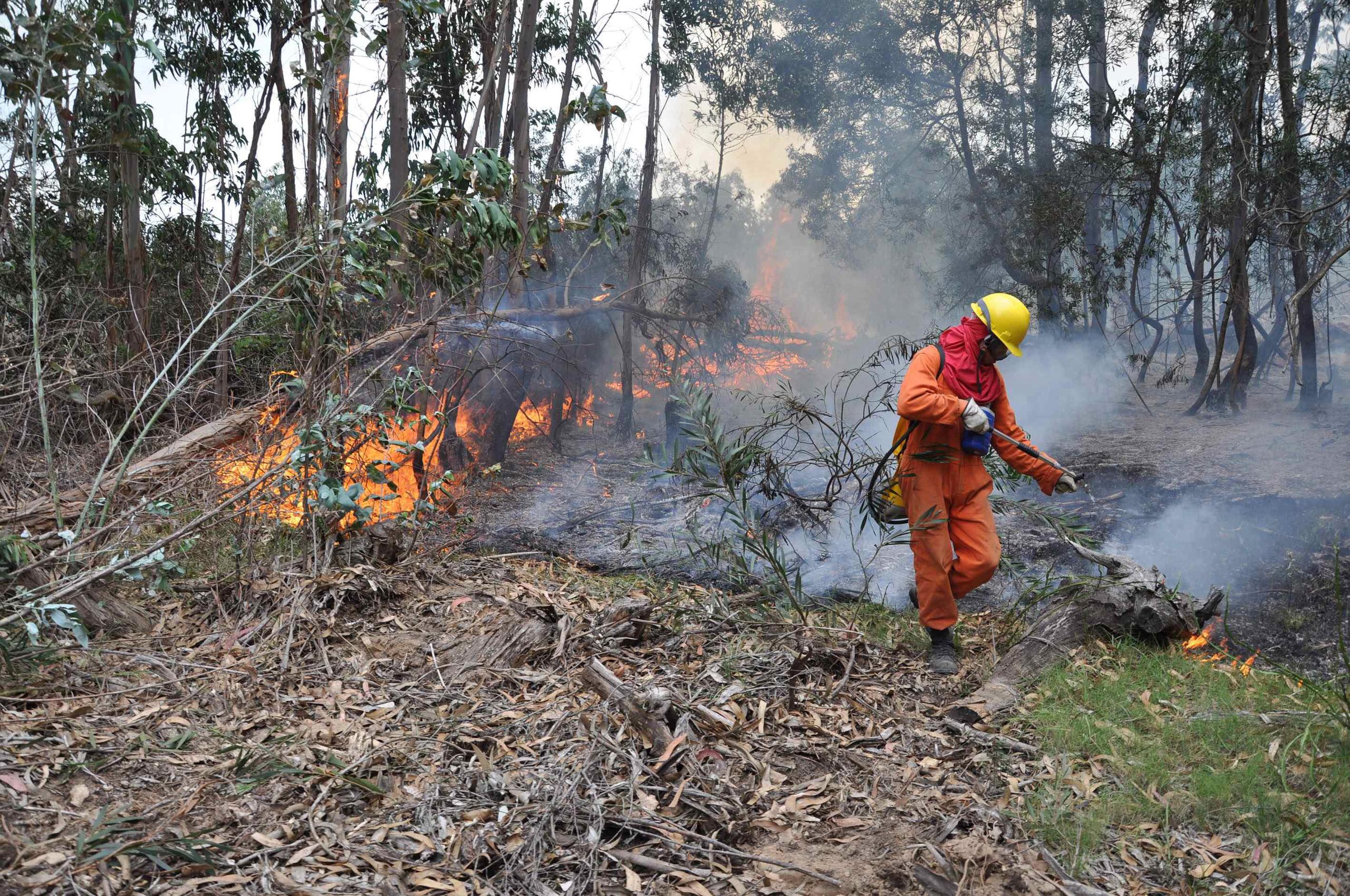 Un bombero realiza trabajos de contención a un incendio forestal en las proximidades del balneario de Punta del Diablo (Uruguay), en una fotografía de archivo. EFE/Julio Moreno
