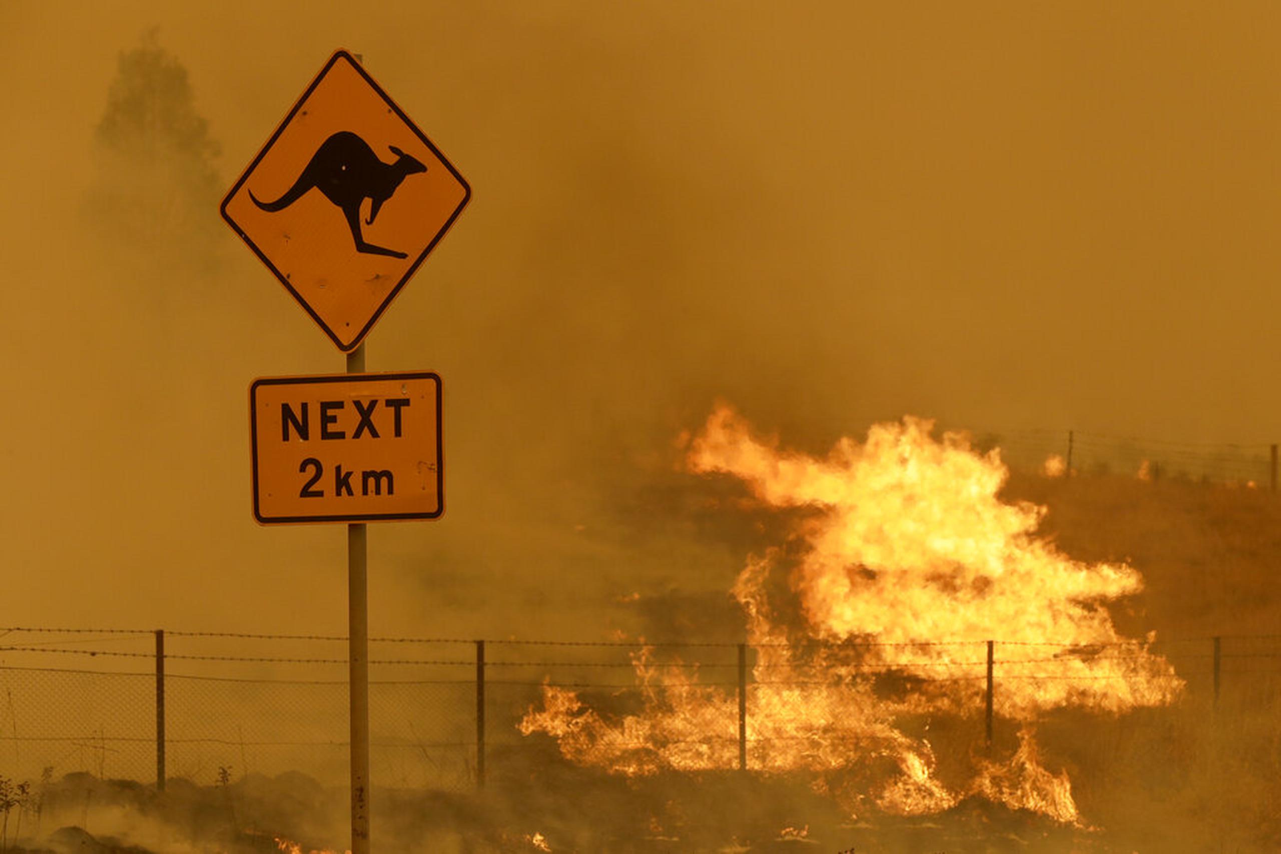 Las llamas queman una zona de hierba cerca de Bumbalong, al sur de la capital de Australia, Canberra.