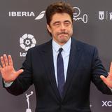 Benicio del Toro sobre Hollywood: “Las historias no están diseñadas para las minorías”