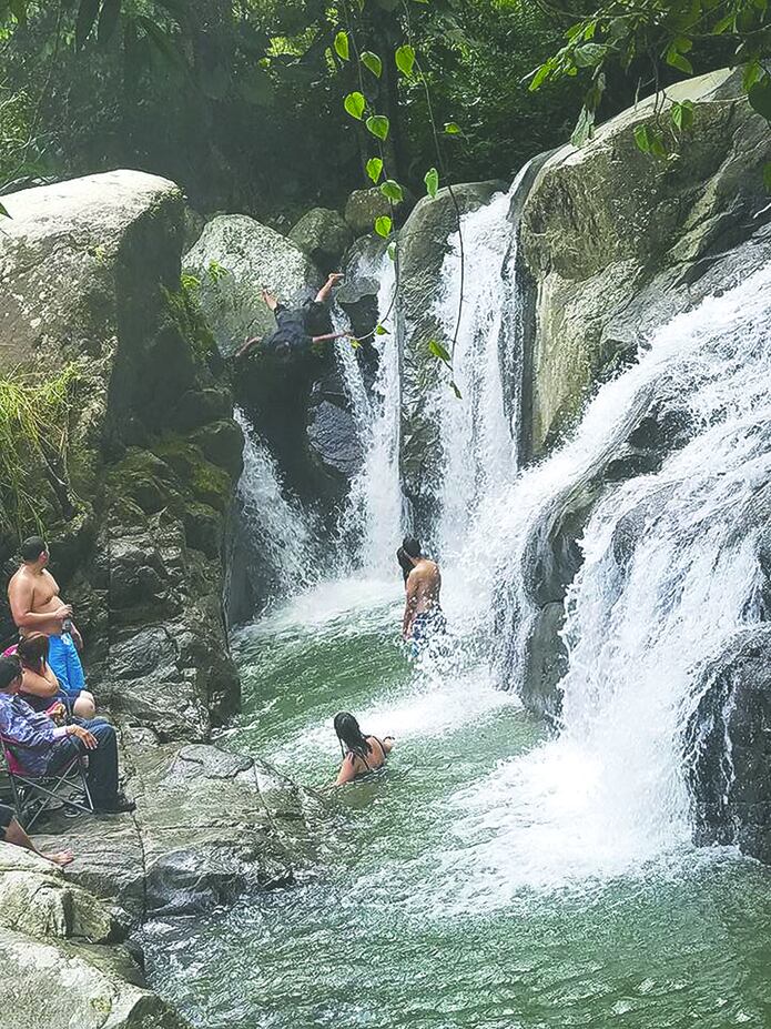 Un Patio Paradisiaco En San Lorenzo Primera Hora