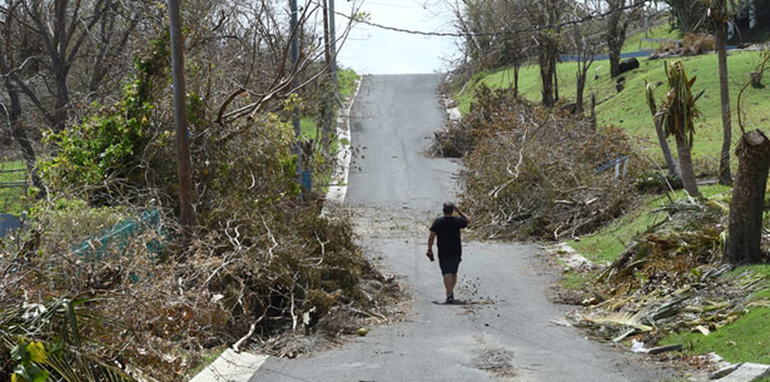 Los árboles arrancados de raíz y las amplias inundaciones bloquearon muchas autovías y calles en la isla, creando un laberinto.  (andre.kang@gfrmedia.com)
