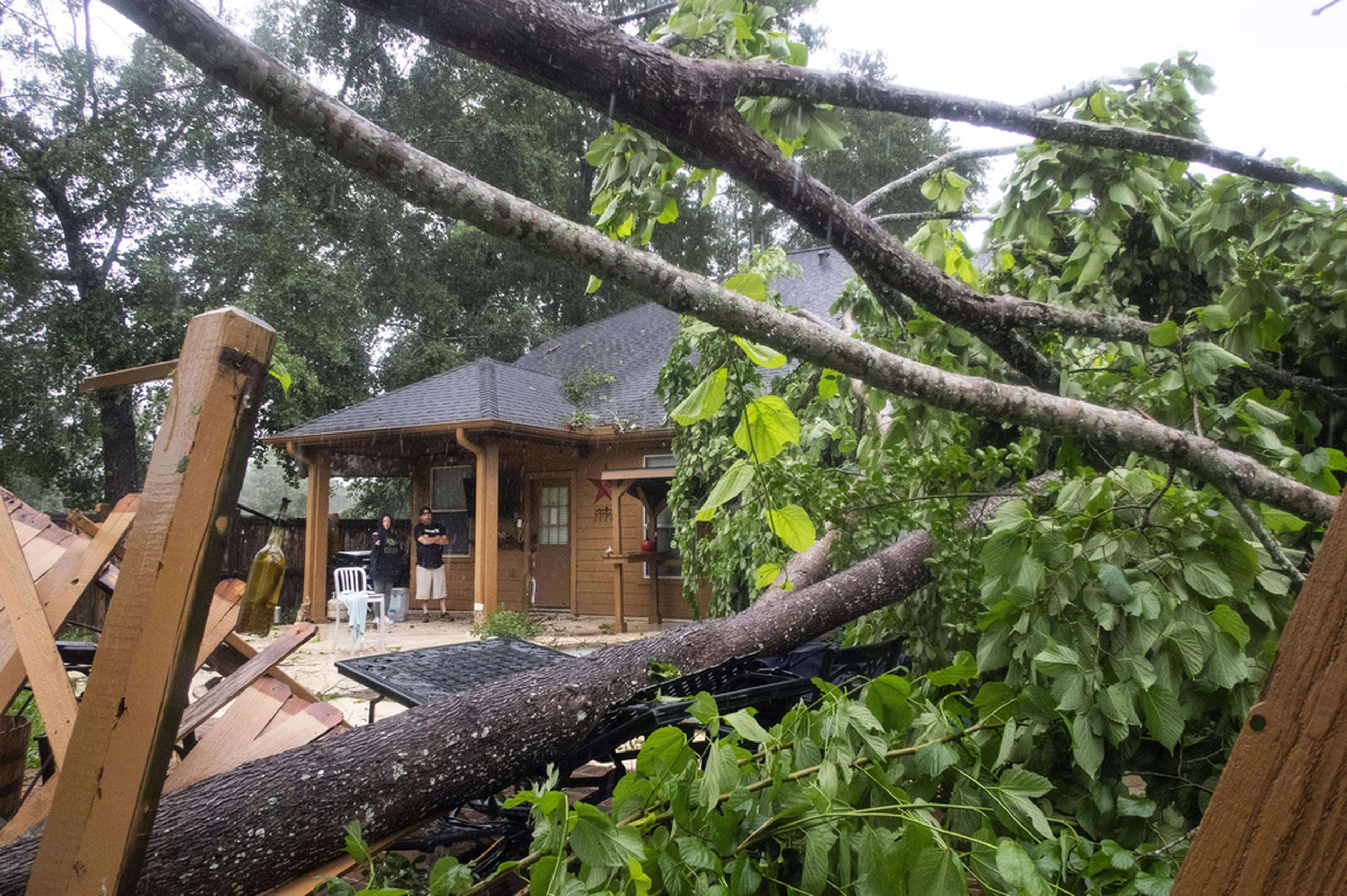 Summer Belson y su hermano Steve Brown observan los daños causados por un árbol caído en el patio trasero de Belson, en Spring, Texas.