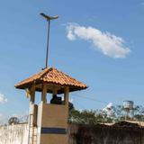 Mueren cuatro presos durante su traslado desde cárcel de Brasil