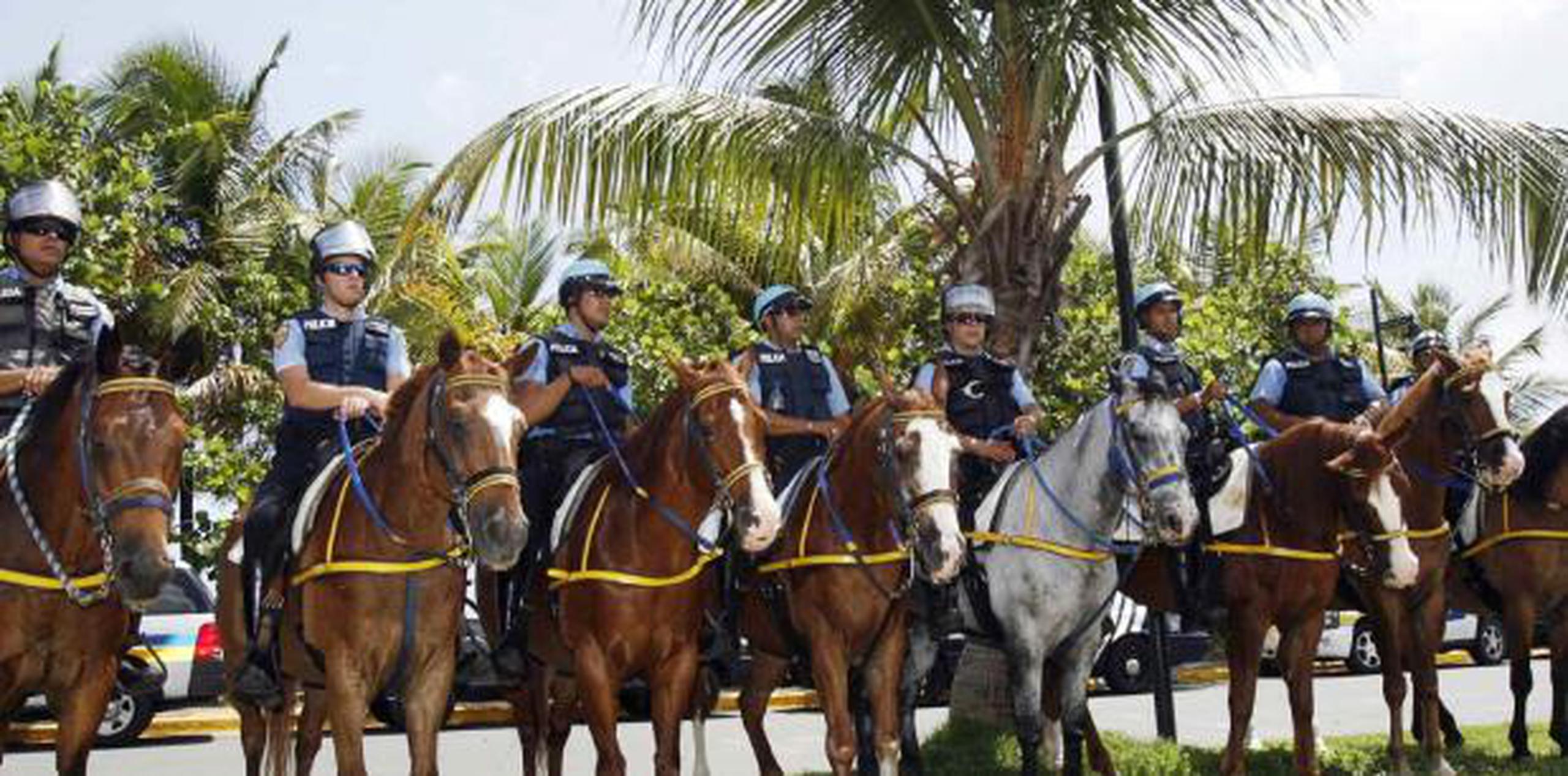 En el mismo comunicado se cita al director de la ASG, Ottmar Chávez, confirmó que su agencia comenzará un proceso para donar estos caballos a centros de equinoterapias. (Archivo)