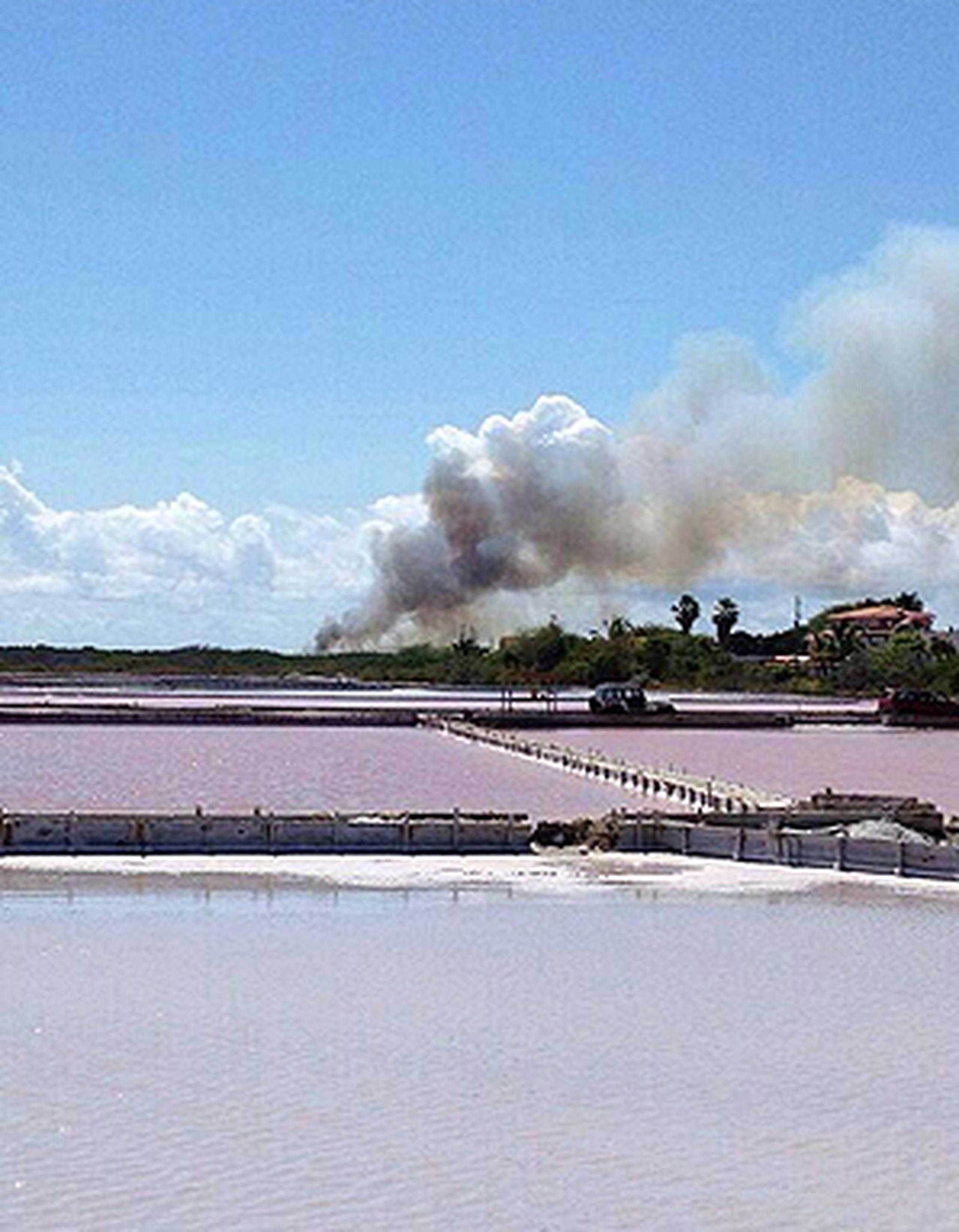 Precisamente mañana, el municipio de Cabo Rojo tenía en agenda una actividad de reforestación en estos terrenos. (Twitter)