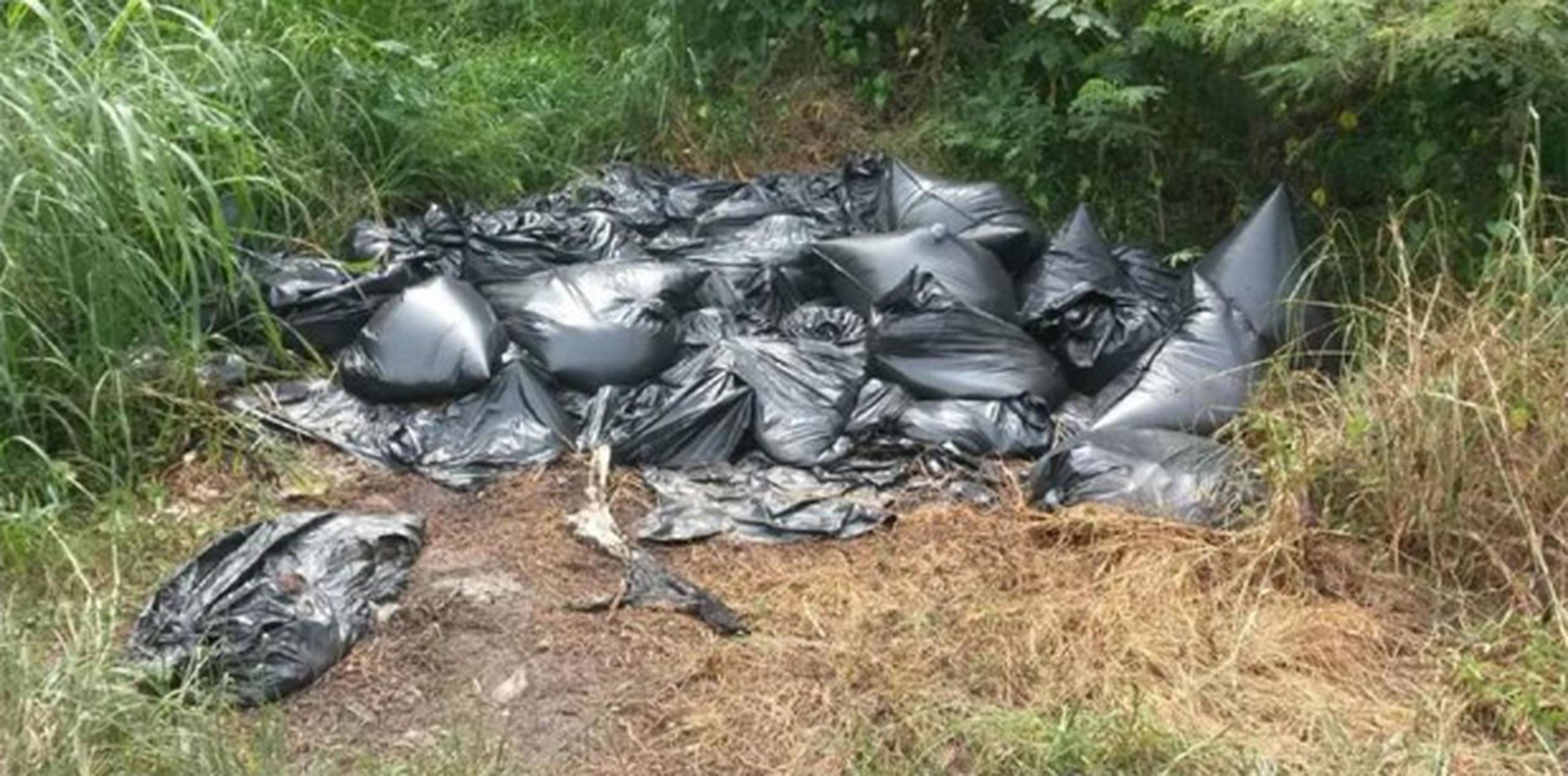 Precisamente en Río Grande ya se han reportado dos casos similares cuando el pasado 17 de mayo, las autoridades encontraron 43 bolsas plásticas con restos de perros. (Archivo)