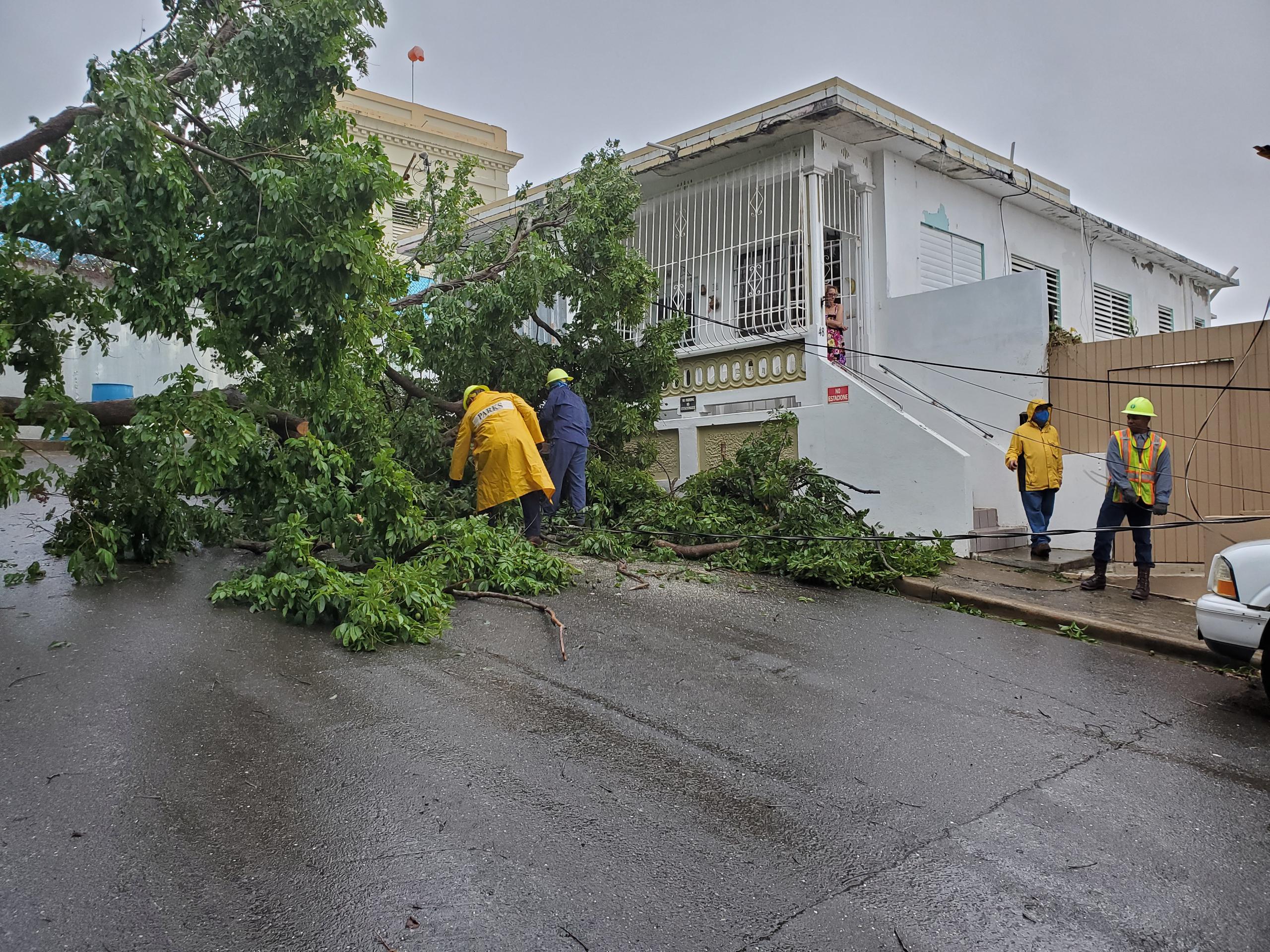 Brigadas de AEE reparan avería en Guayama, provocada por la caída de un árbol durante las ráfagas de la tormenta tropical Isaías.