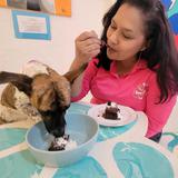 Mascotas y sus amos pueden ‘janguear’ juntos en Bone-A-Pet-Eat en Ponce