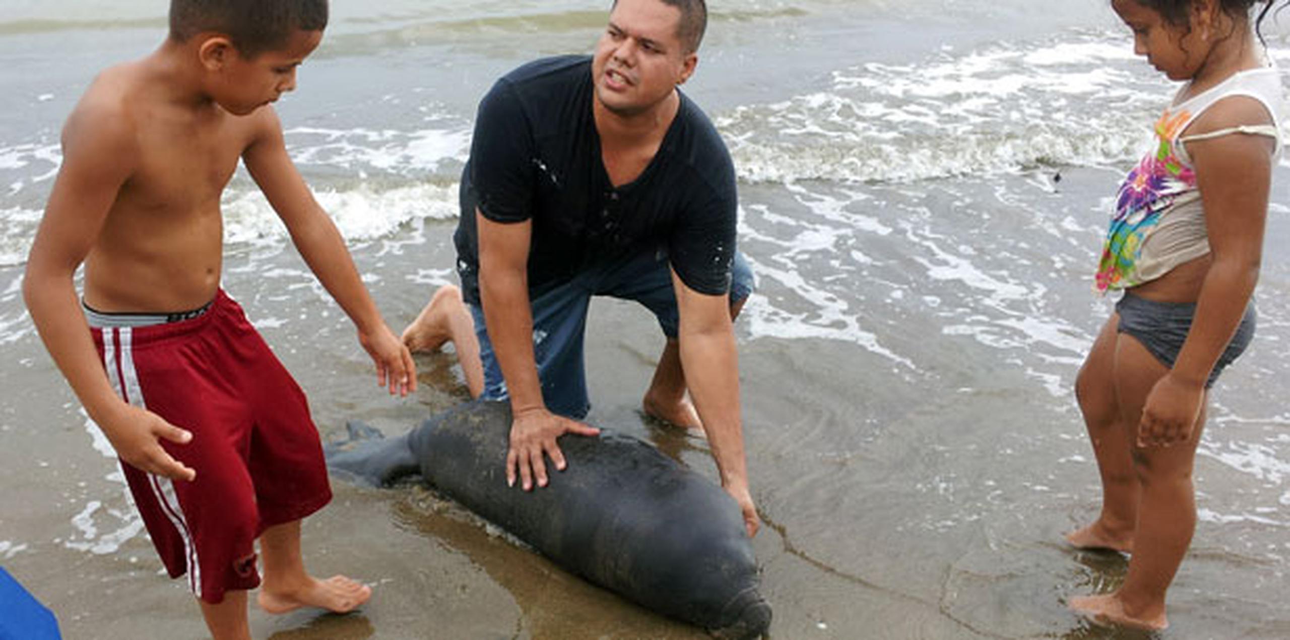 Niños que encontraron a bebé manatí en Mayagüez recibirán