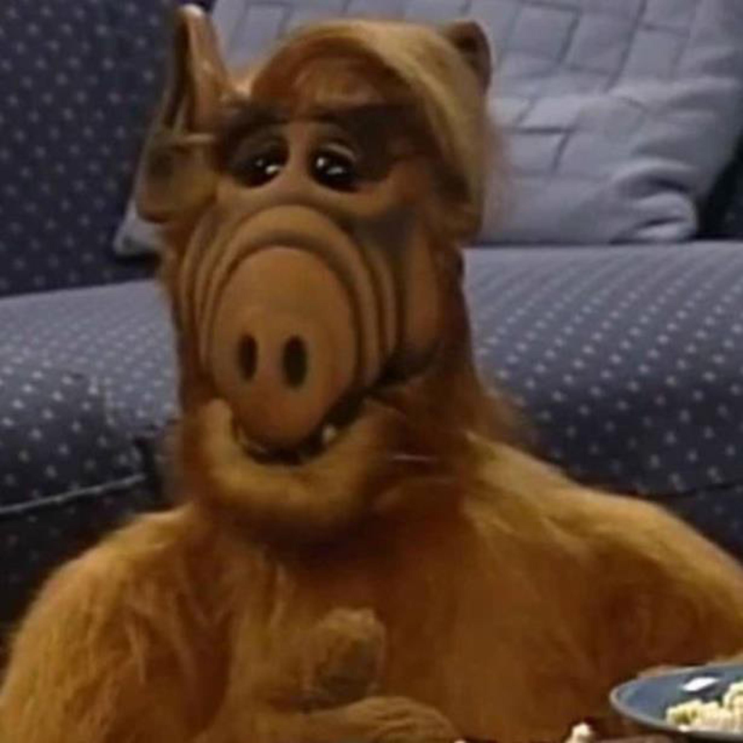 En el 2004 participó en un intento de revivir la serie "Alf". (Archivo)