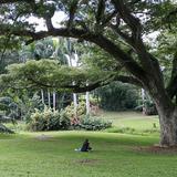 Invitan a llevar una vida sana en el Jardín Botánico Sur