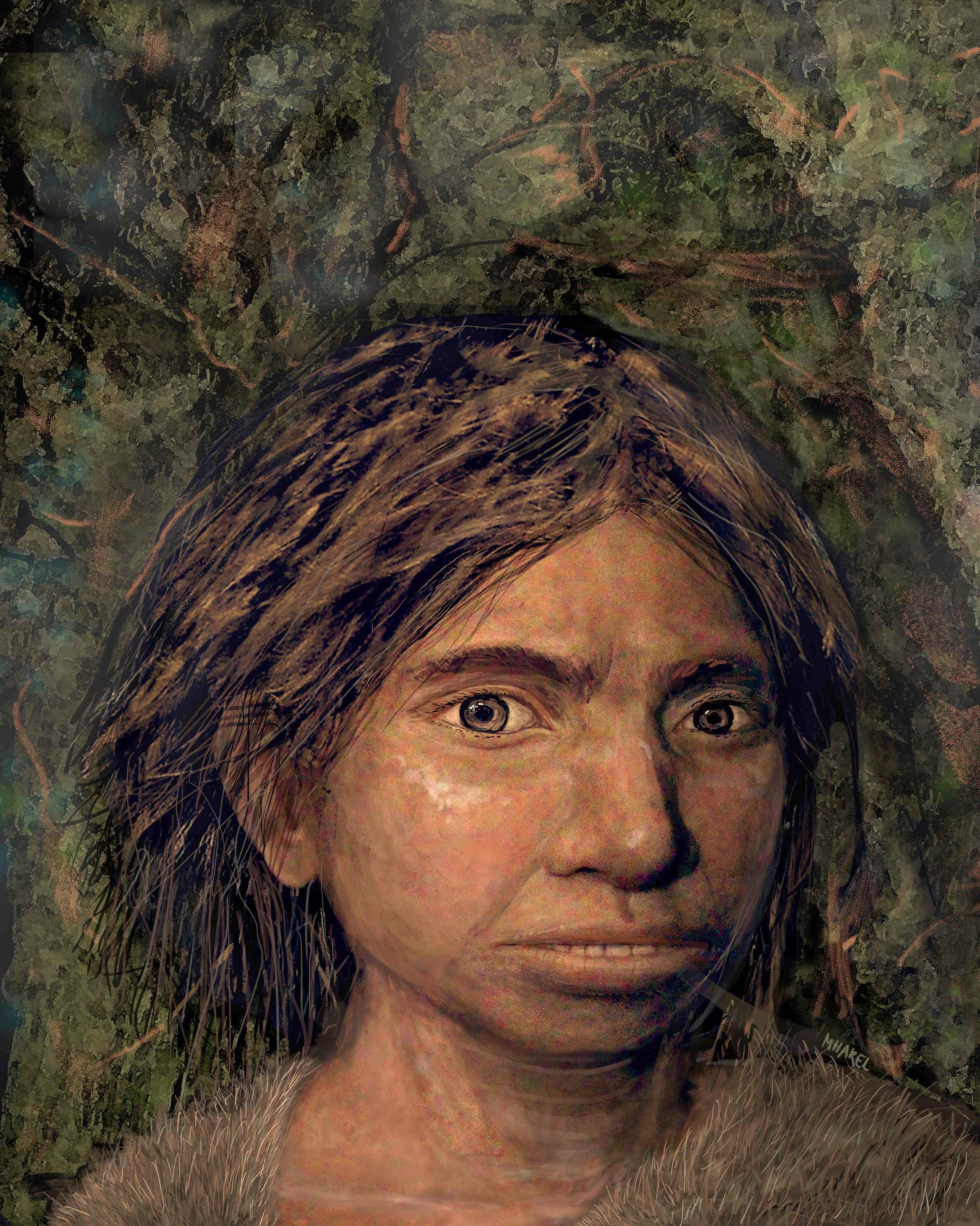 Los investigadores identificaron 56 rastros anatómicos en los que los denisovanos eran diferentes de los humanos modernos y de los neandertales. (EFE)