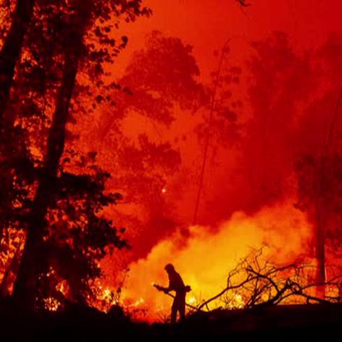 Un 'baby shower' desató un incendio forestal en California