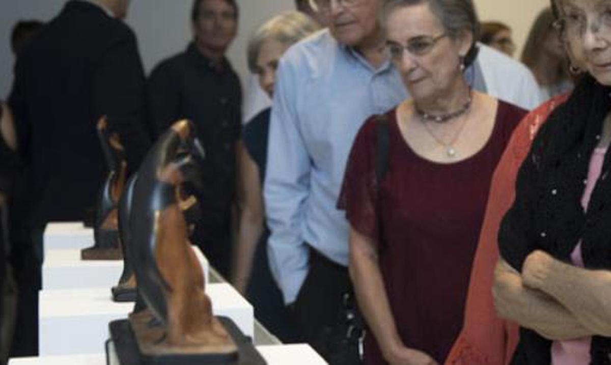 Llegaron los pingüinos de Compostela al Museo de Arte de Ponce