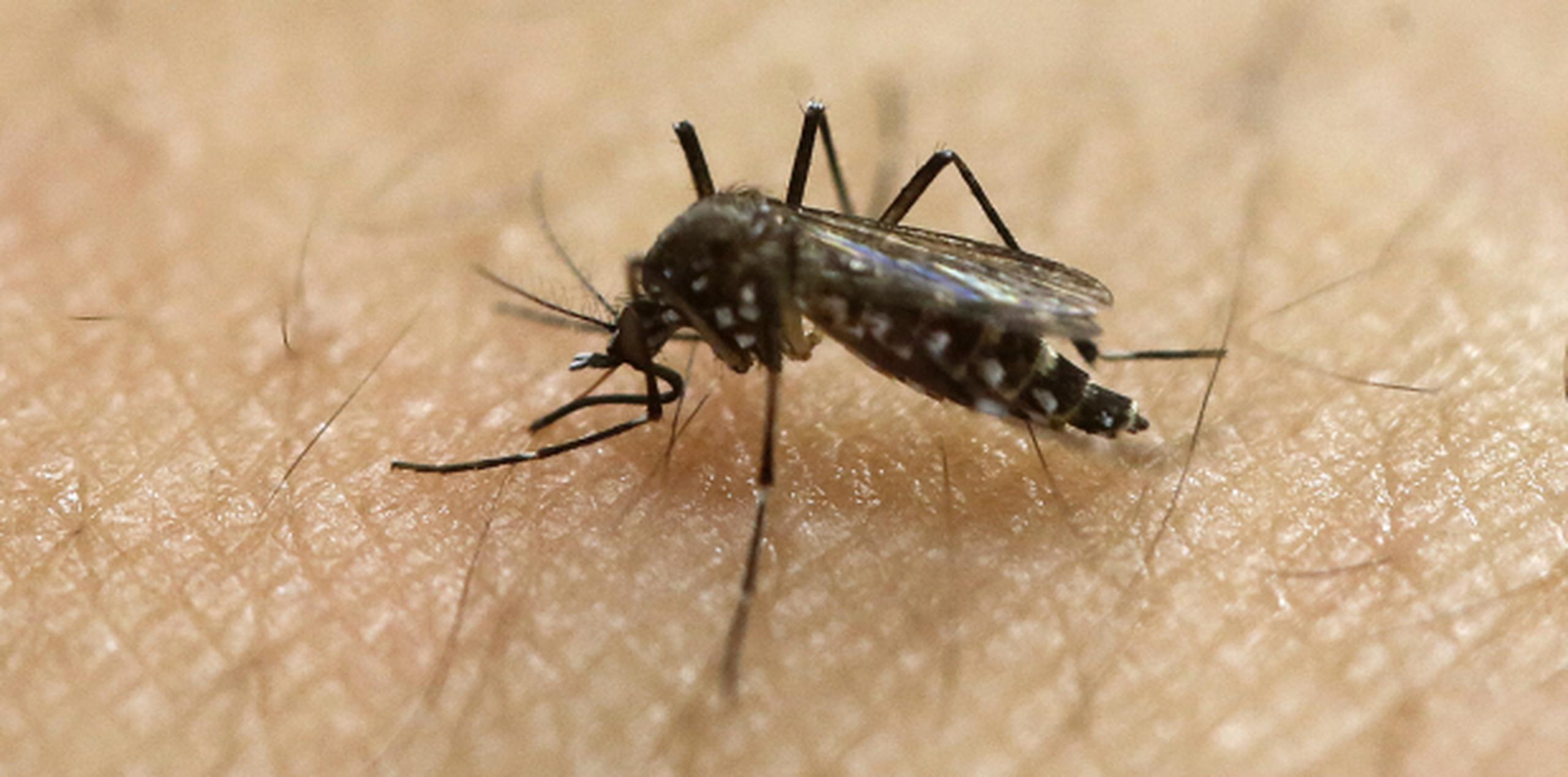 Hasta el momento se confirmado en la isla 14,334 contagios con zika. (Archivo)