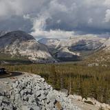 Incendio amenaza las secuoyas en el parque de Yosemite en Estados Unidos