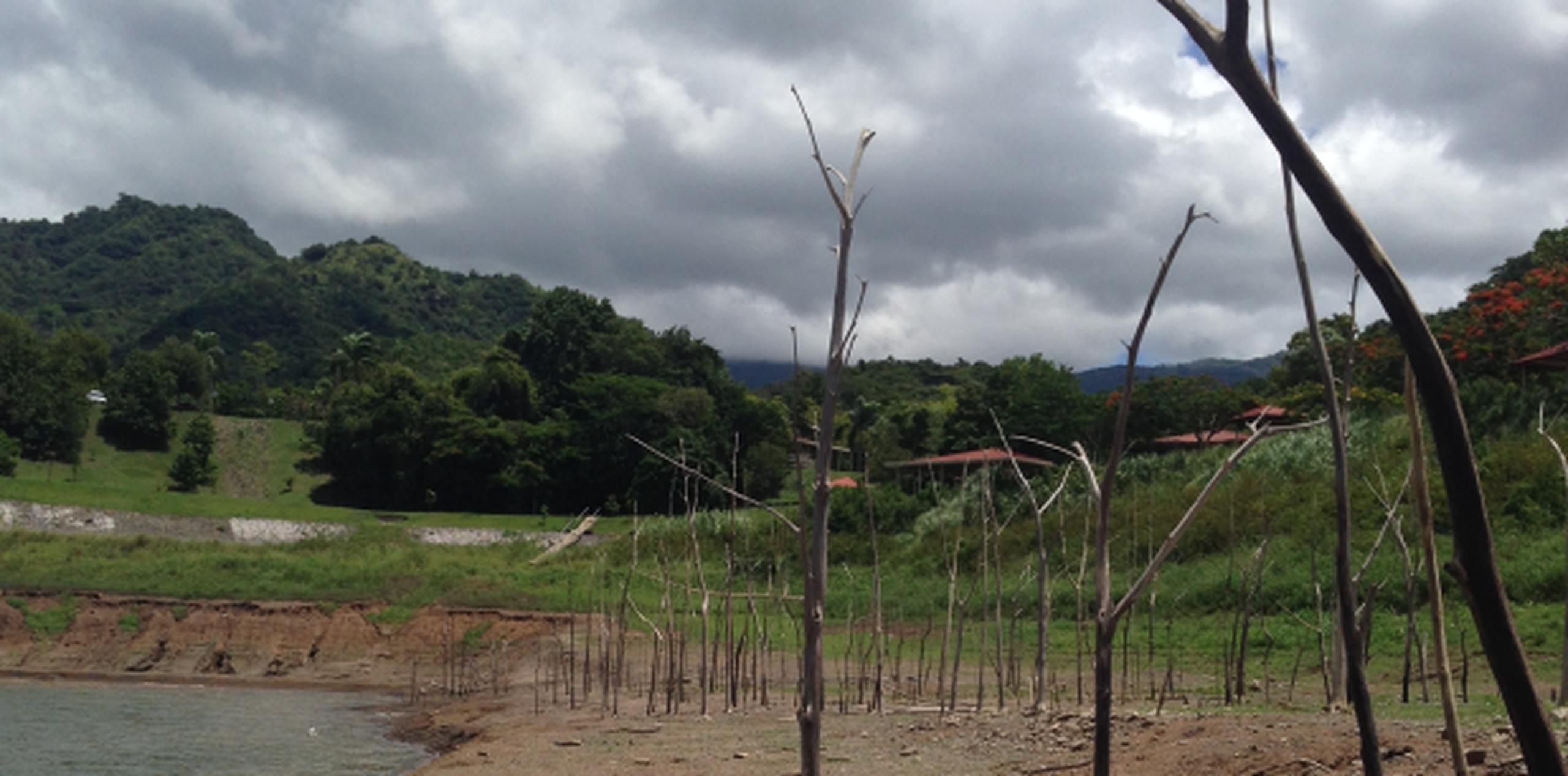 Los municipios son Caguas, Juncos, Gurabo, San Lorenzo, Guayama, Salinas, Arroyo, Patillas, Maunabo, Yabucoa, Cayey, Cidra, Las Piedras, Trujillo Alto, Carolina, Canóvanas, Río Grande, Luquillo y Fajardo. (Archivo)