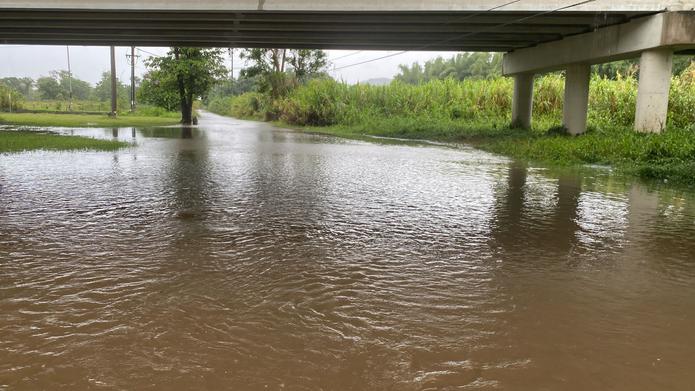 Por su seguridad, se recomendó a los conductores no cruzar las carreteras inundadas en estos sectores del municipio de Naguabo.