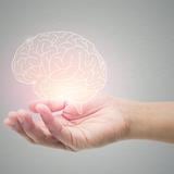 Curiosidades y mitos del cerebro humano