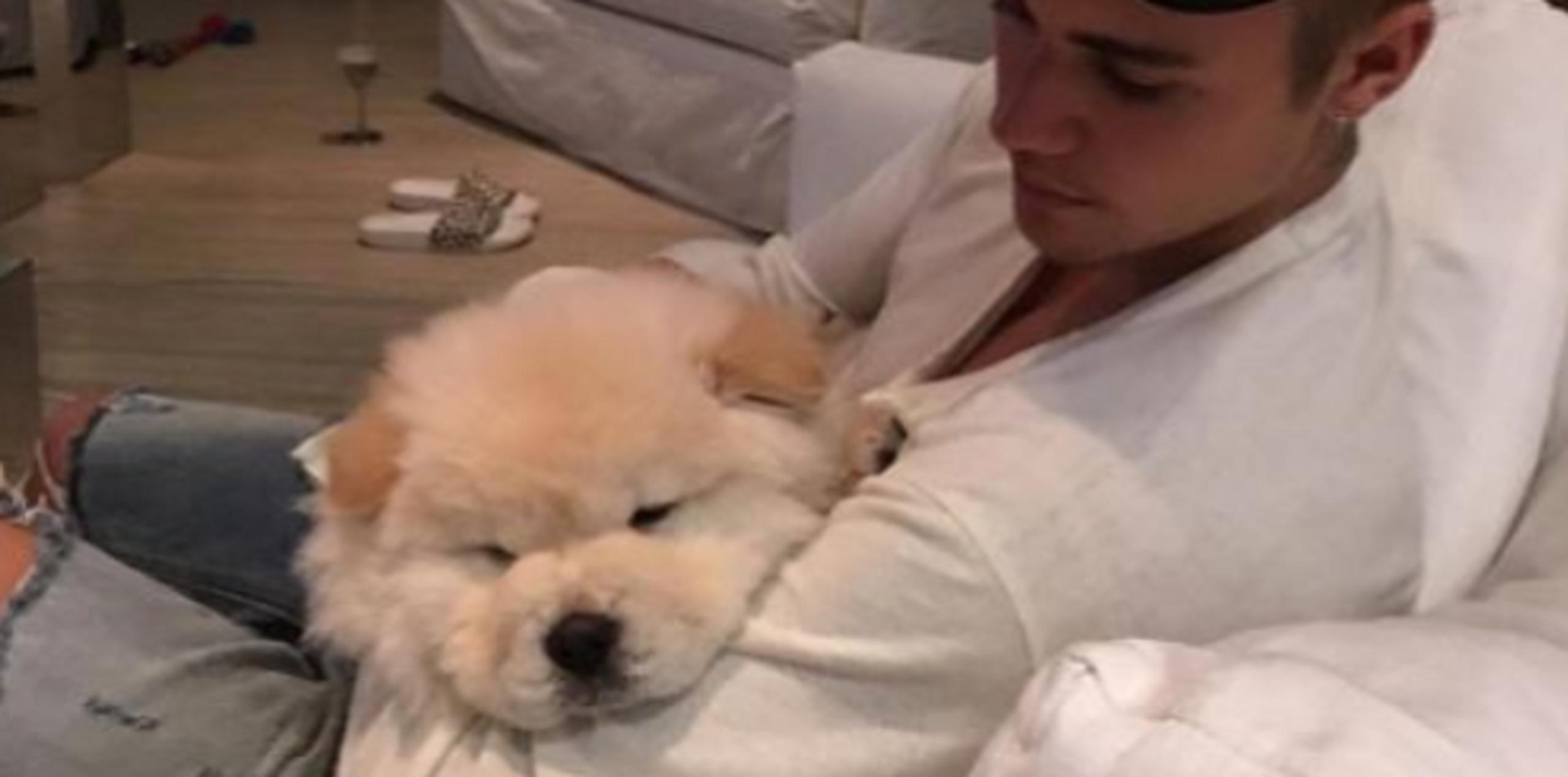 Bieber ha sido cuestionado en varias oportunidades por organizaciones que defienden la tenencia responsable de mascotas. (www.instagram.com/toddthestud)
