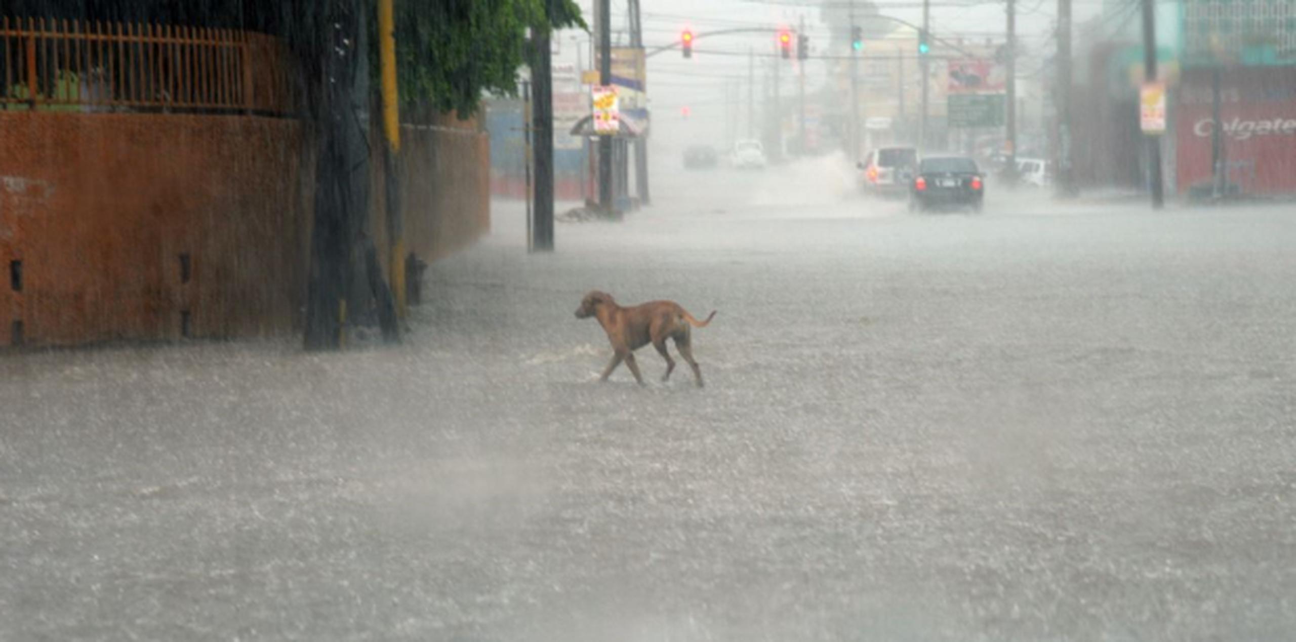 En Haití las autoridades están yendo casa por casa en las ciudades de Les Cayes y Jeremie, en la costa sur, para asegurarse de que las personas están al tanto de que se acerca una tormenta. (AP)