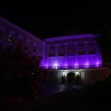 La Fortaleza se ilumina de violeta para concienciar sobre las personas con epilepsia