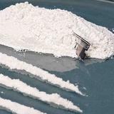 CBP incauta contrabando de cocaína en buque de carga procedente de la República Dominicana 