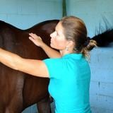 Ofrecen talleres sobre el cuidado de caballos en Río Grande