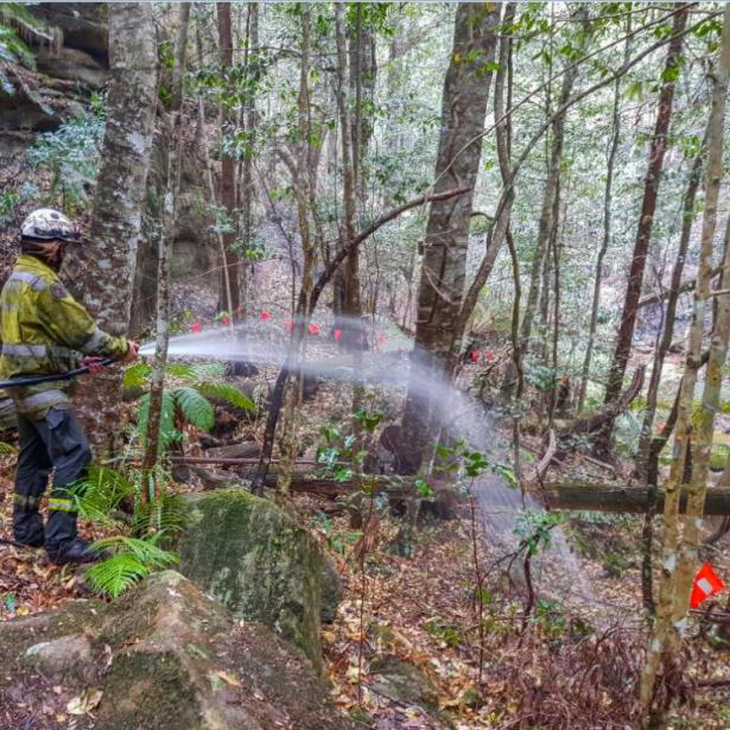 Los bomberos montaron un sistema de irrigación para mantener a los árboles húmedos y bombearon agua todos los días desde el cañón mientras se acercaba el incendio que llevaba más de un mes sin control. (AP)