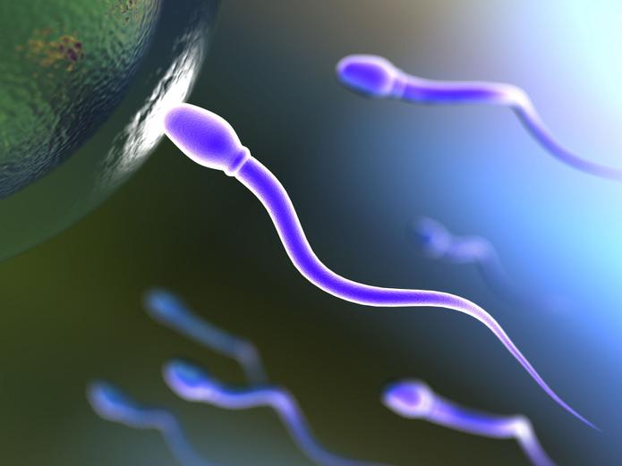 Representación de un espermatozoide fecundando un óvulo