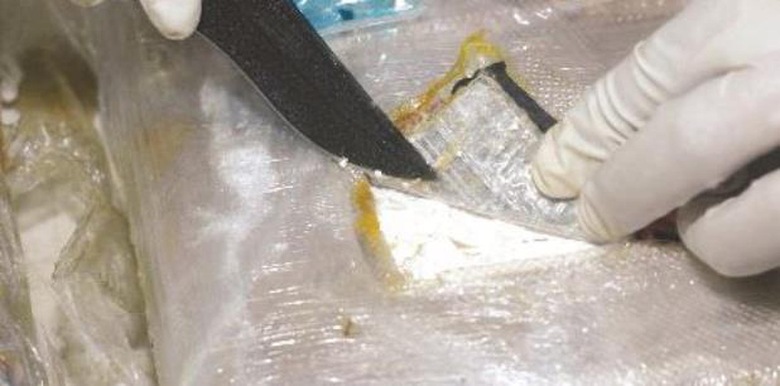 Tras examinar el equipaje, los oficiales federales descubrieron en la maleta nueve piezas en forma de ladrillo, que resultaron dar positivo a cocaína. (Archivo)