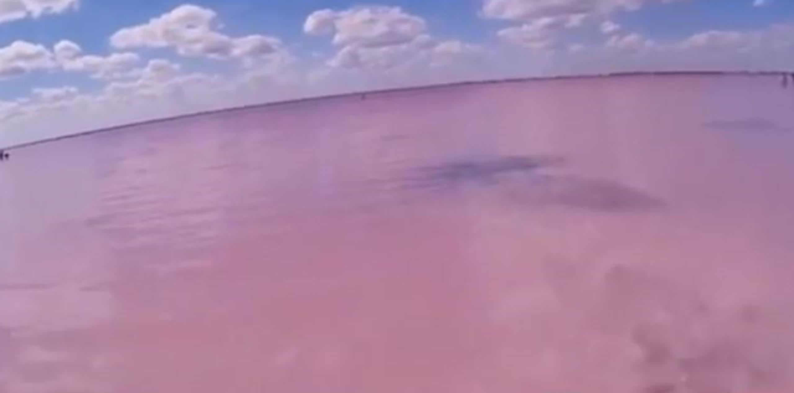 Antes y después de su fase rosada, las aguas del lago son azules cuando brilla el sol y grises en los días nublados. (Captura)