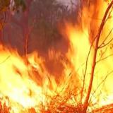 “El Niño” pone en alerta a Colombia y aumenta el riesgo de incendios forestales 