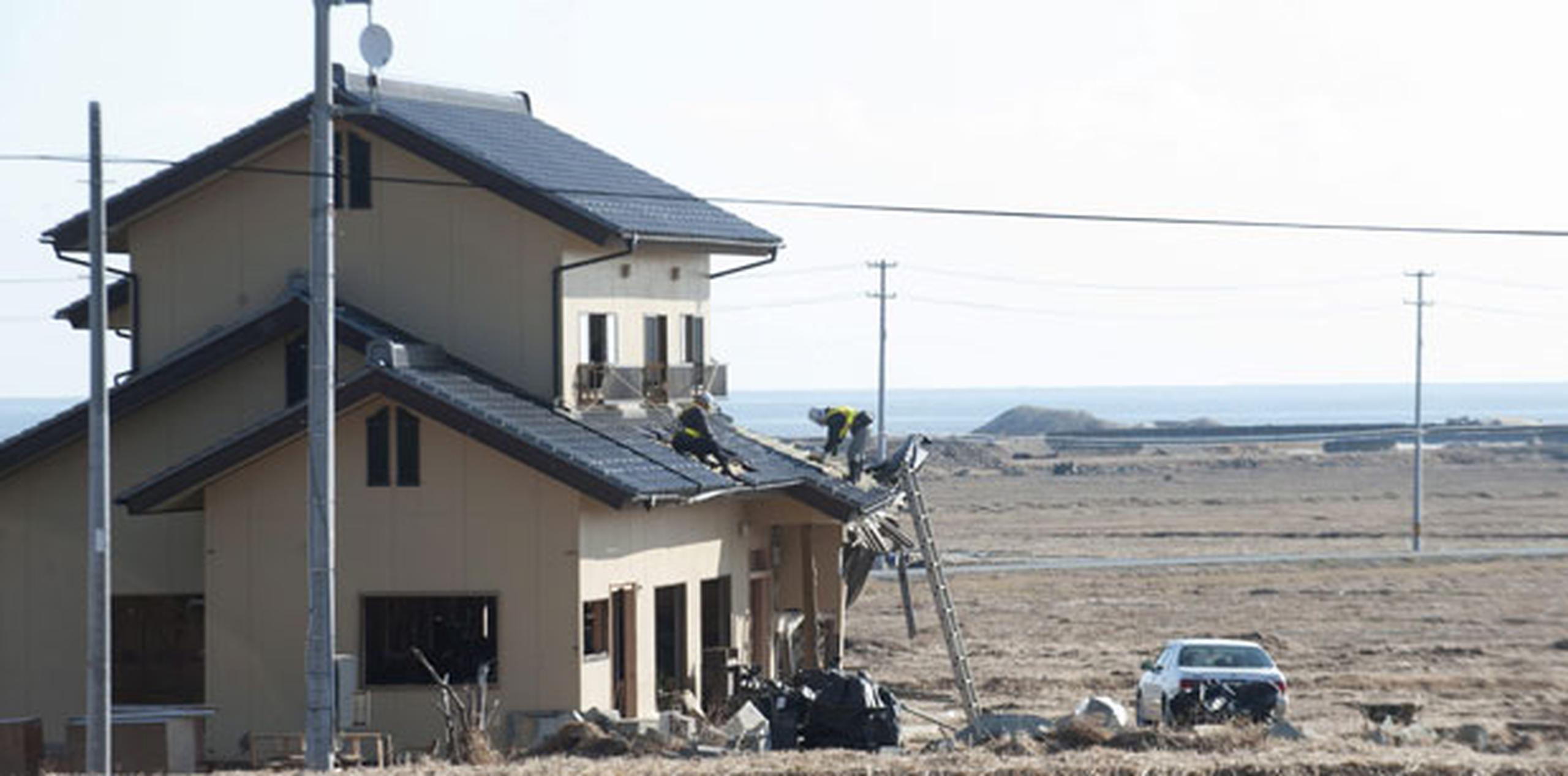 43 vecinos que han podido retornar a sus casas temporalmente en el pueblo de Namie han informado de destrozos provocados por los jabalíes. (EFE)