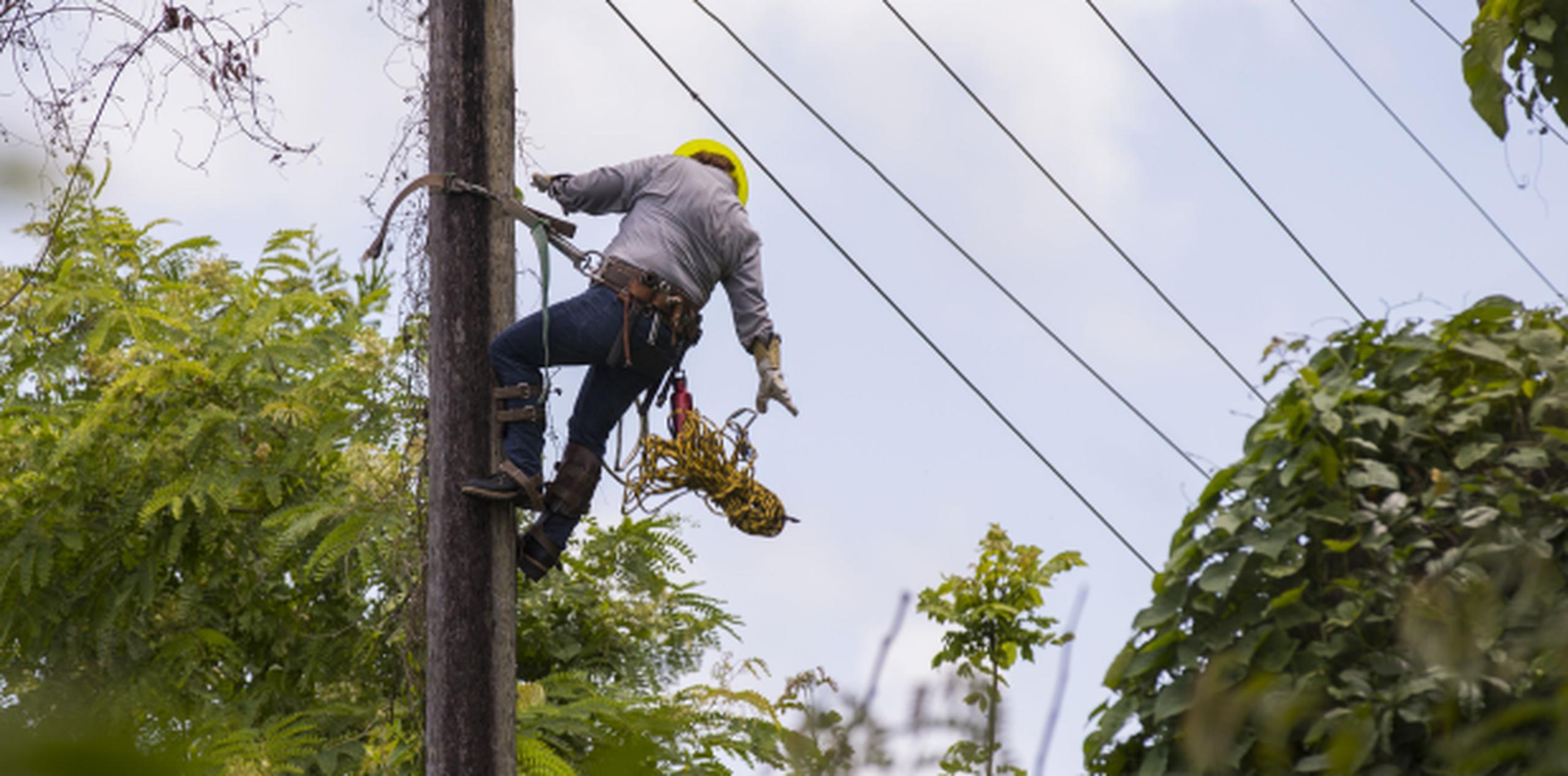 Empleados de la AEE trabajan para restablecer el servicio, logrando reducirla cifra de abonados de la AEE sin ele3ctricidad a 234,188 abonados. (Archivo)