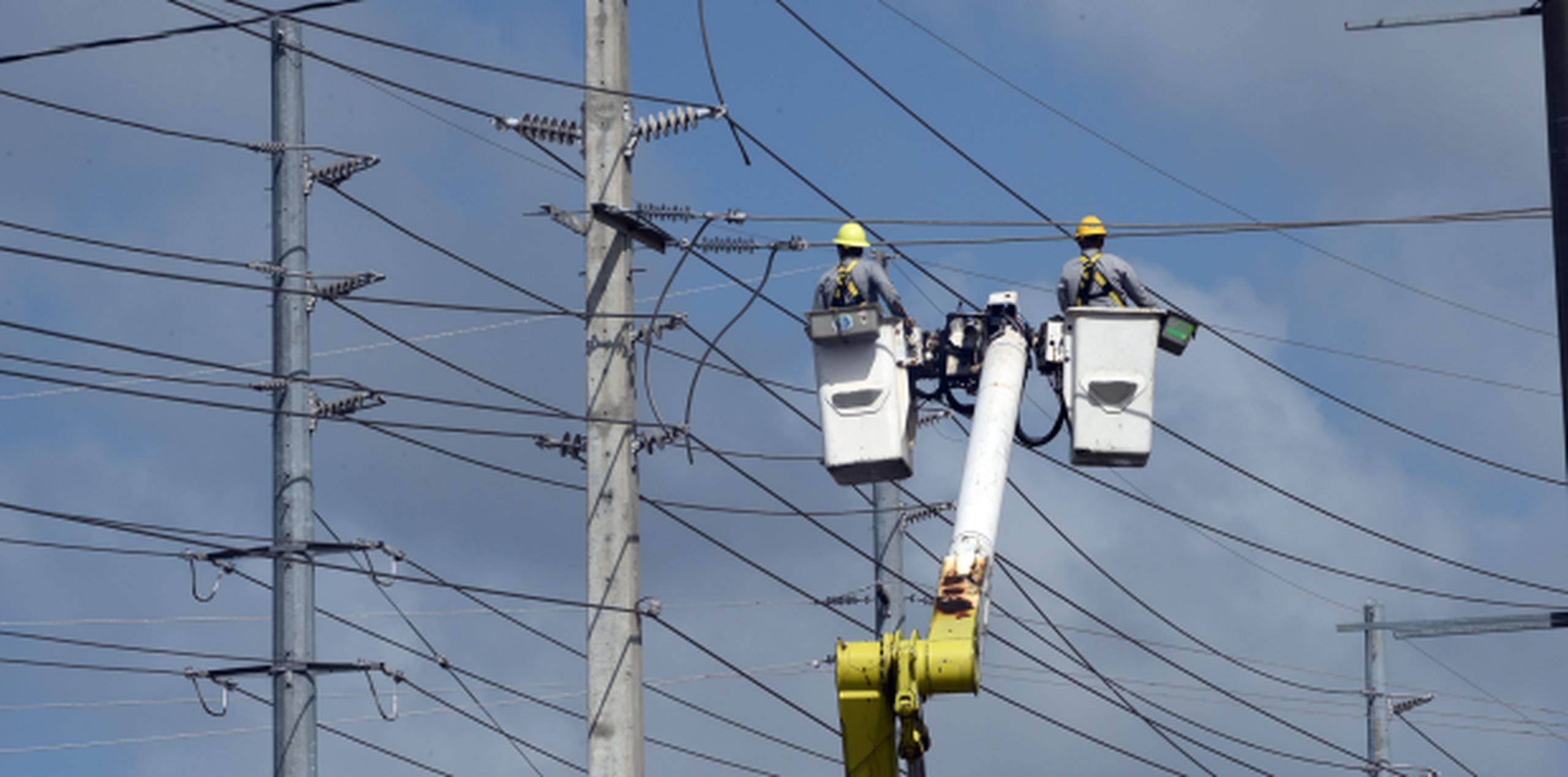 La Autoridad de Energía Eléctrica (AEE), aquí trabajando en Manatí, logró el restablecimiento del servicio en una zona crítica del pueblo de Camuy. (andre.kang@gfrmedia.com)
