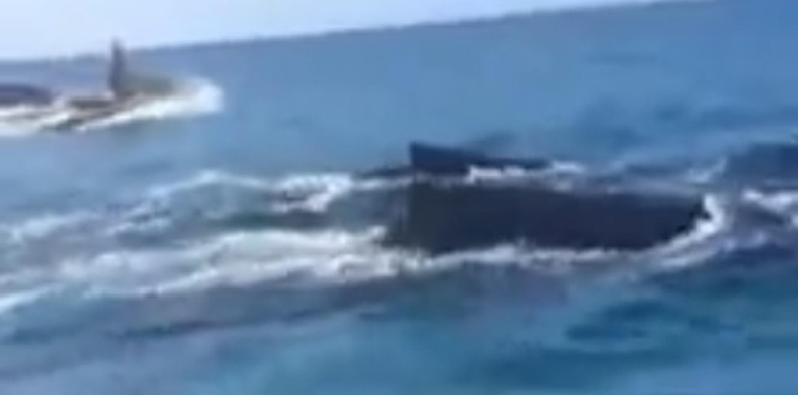 Imagen del vídeo colgado en YouTube  que muestra la persecución de una ballena jorobada y su cría, cuyo paradero es desconocido para las autoridades. (Archivo)
