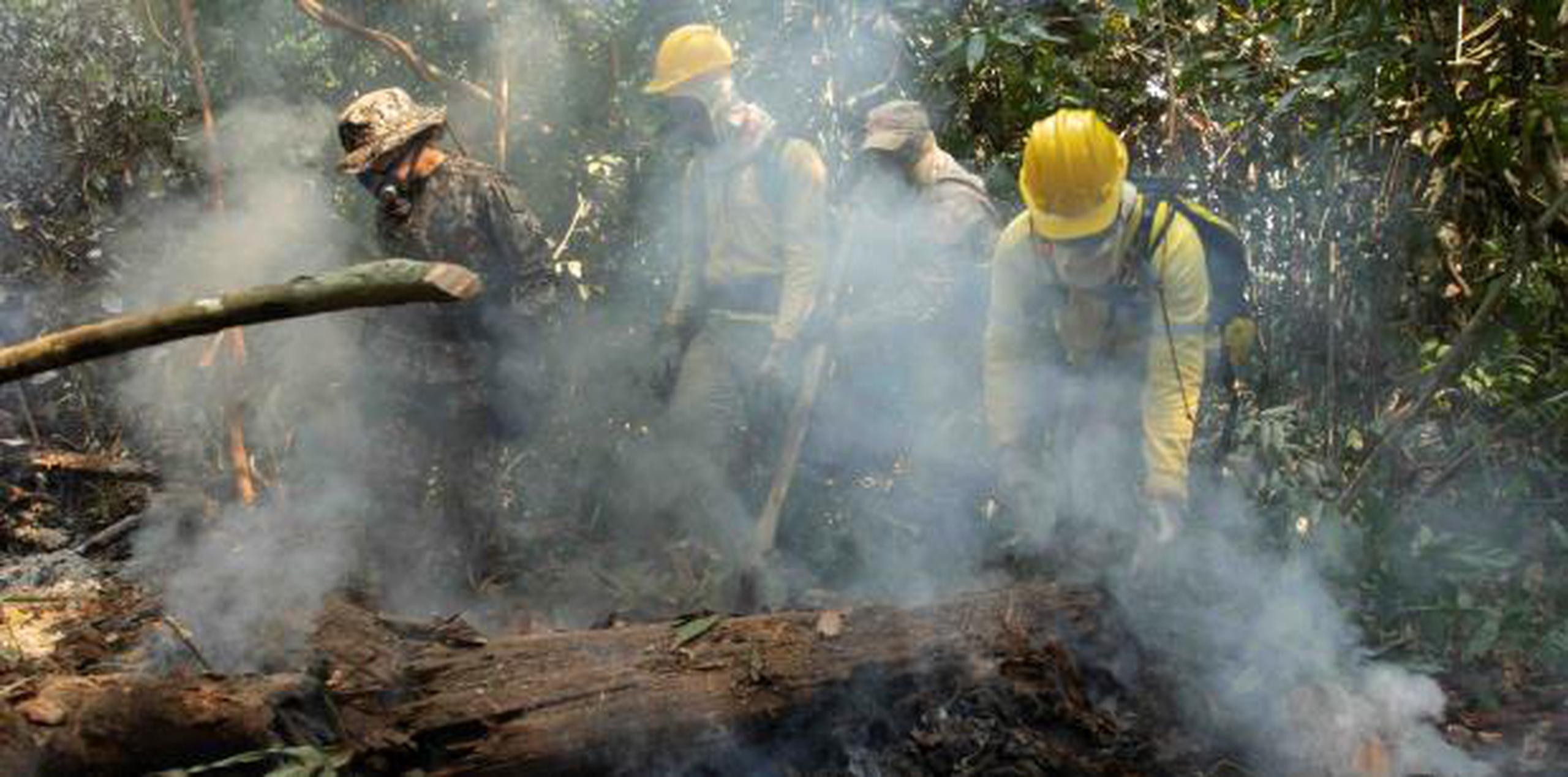Los incendios que estallaron a un ritmo inusual en la Amazonía, el pasado mes de agosto. (Archivo)