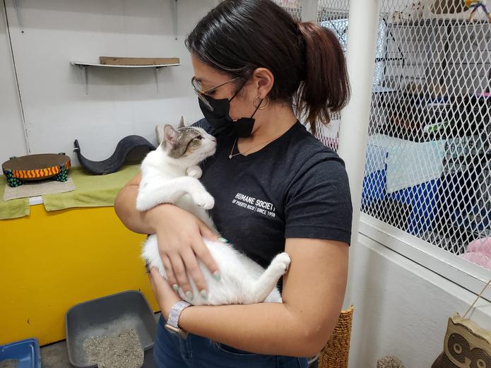 La feria “Vacu Ready para el verano” del albergue Humane Society, en Guaynabo, significaba una excelente oportunidad para que mascotas recibieran su vacunación a un costo mucho más económico.