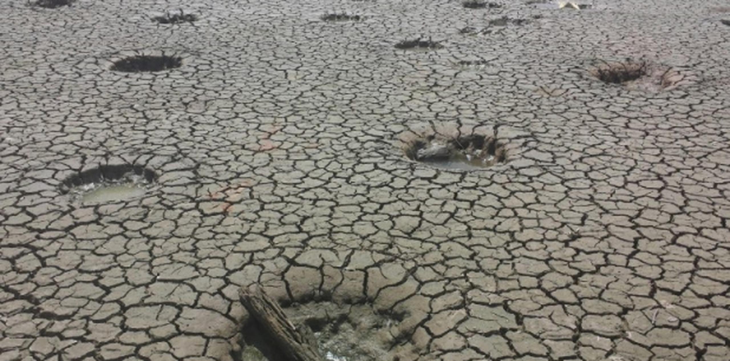 Actualmente, unos 20 pueblos de la Isla están clasificados por el Monitor federal en sequía extrema. (Archivo)