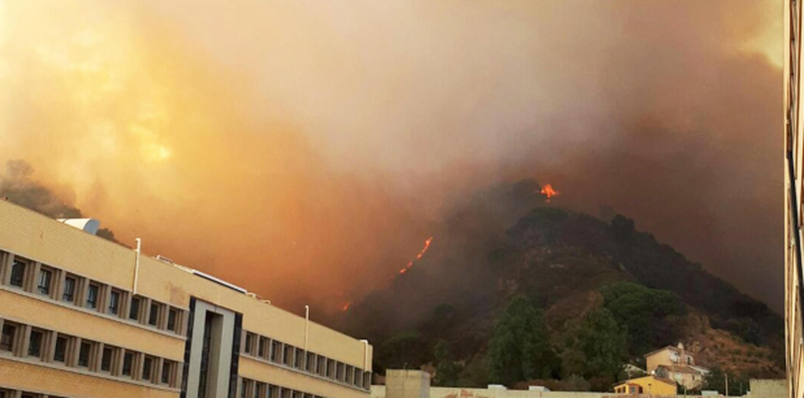 El Sistema Europeo de Información de Incendios Forestales registró hasta 24 incendios en Italia. (EFE)