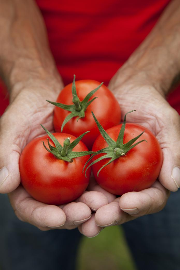 El tomate contiene potasio y bajos niveles de sodio, lo que favorece a evitar la retención de líquidos y a la eliminación de toxinas.