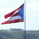 Celebran lo hecho en Puerto Rico