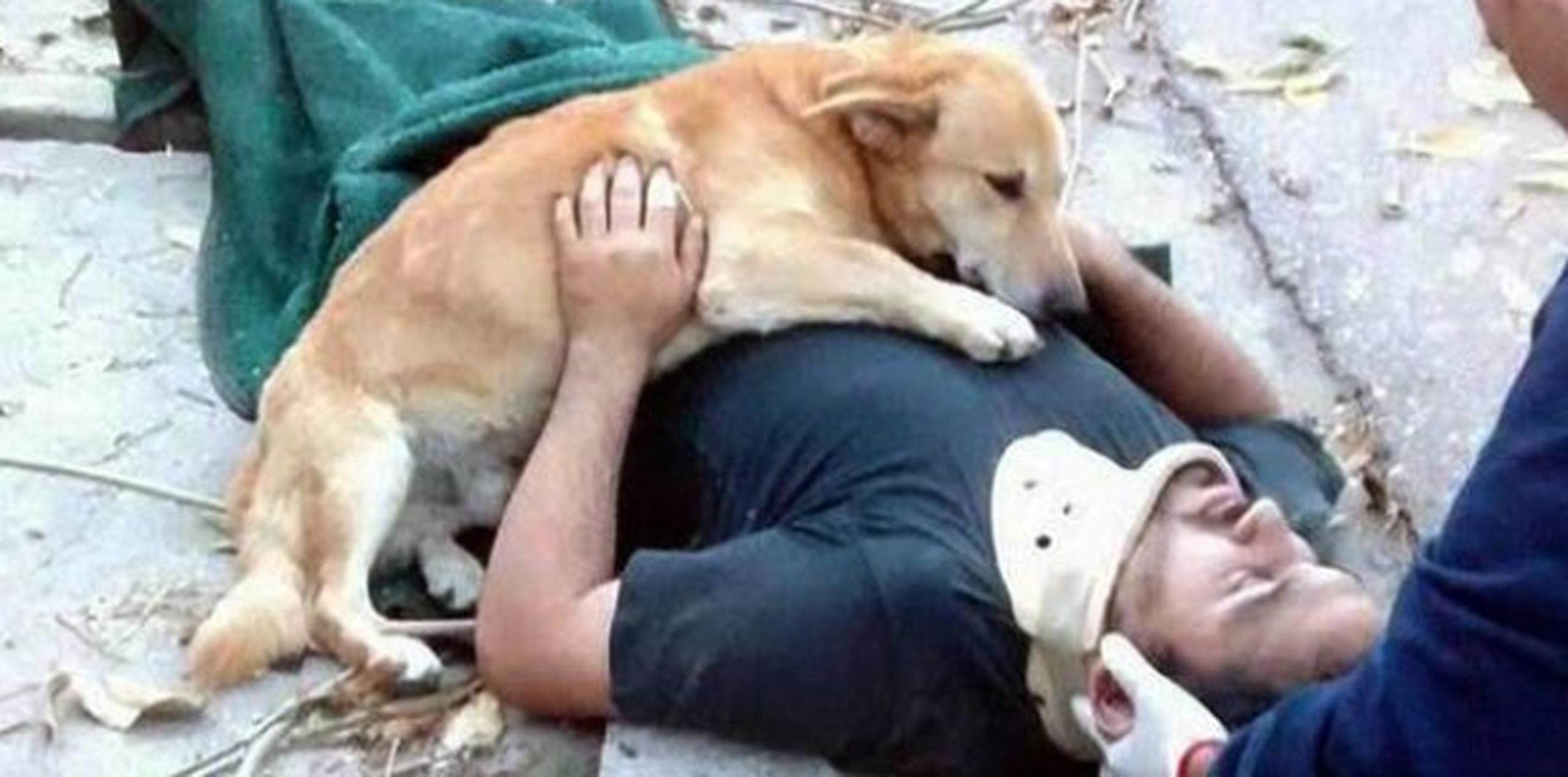 "Un día lo vimos en la calle y lo adoptamos, le dimos amor, alimento y es parte de nuestra familia", aseguró el hombre de su perro. (Defensa Civil de Bahía Blanca)
