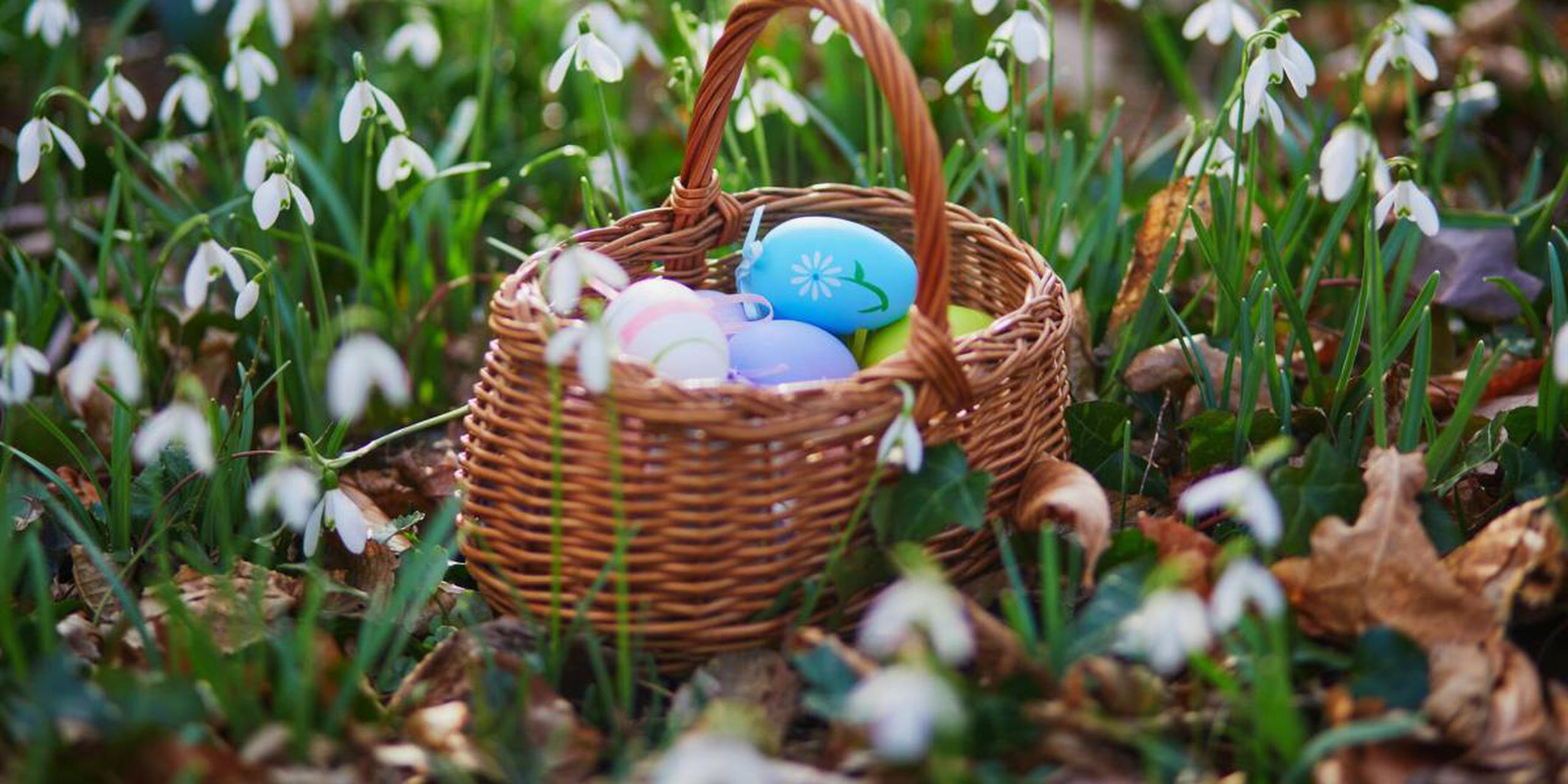 Los huevos y conejos de chocolate son parte de una costumbre que se celebra hace más de 1,000 años.