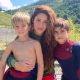 La alta cantidad de dinero que paga Shakira por el colegio de sus hijos