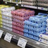 Exigen investigar posible manipulación en los precios del huevo